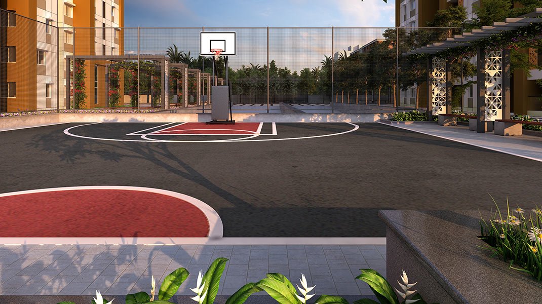 Half Basketball Court