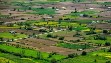 maria-krasnova-qD7tpy_VozY-unsplash_1738044306429_1738044316137